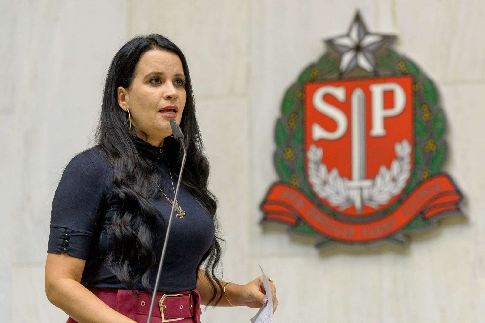 Criada Frente Parlamentar de Apoio ao Desenvolvimento Regional da Indústria, Comércio e Serviços