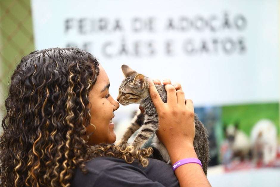 Feira de adoção acontece neste sábado (27) em São José