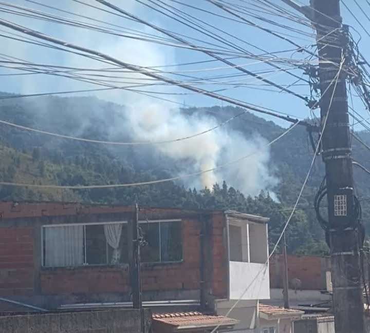 Incêndio em mata atinge dois pontos em trecho da Tamoios