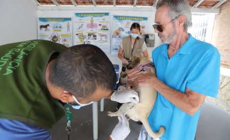 Jacareí realiza vacinação antirrábica para cães e gatos neste fim de semana