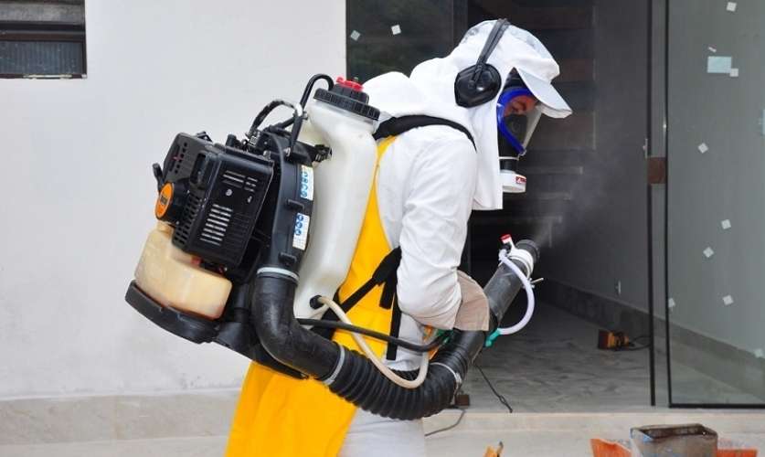 Caraguatatuba permanece em estado de alerta para infestação do mosquito Aedes aegypti