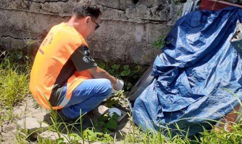 São Sebastião mantém alerta de combate à Dengue, mesmo com índice ADL abaixo