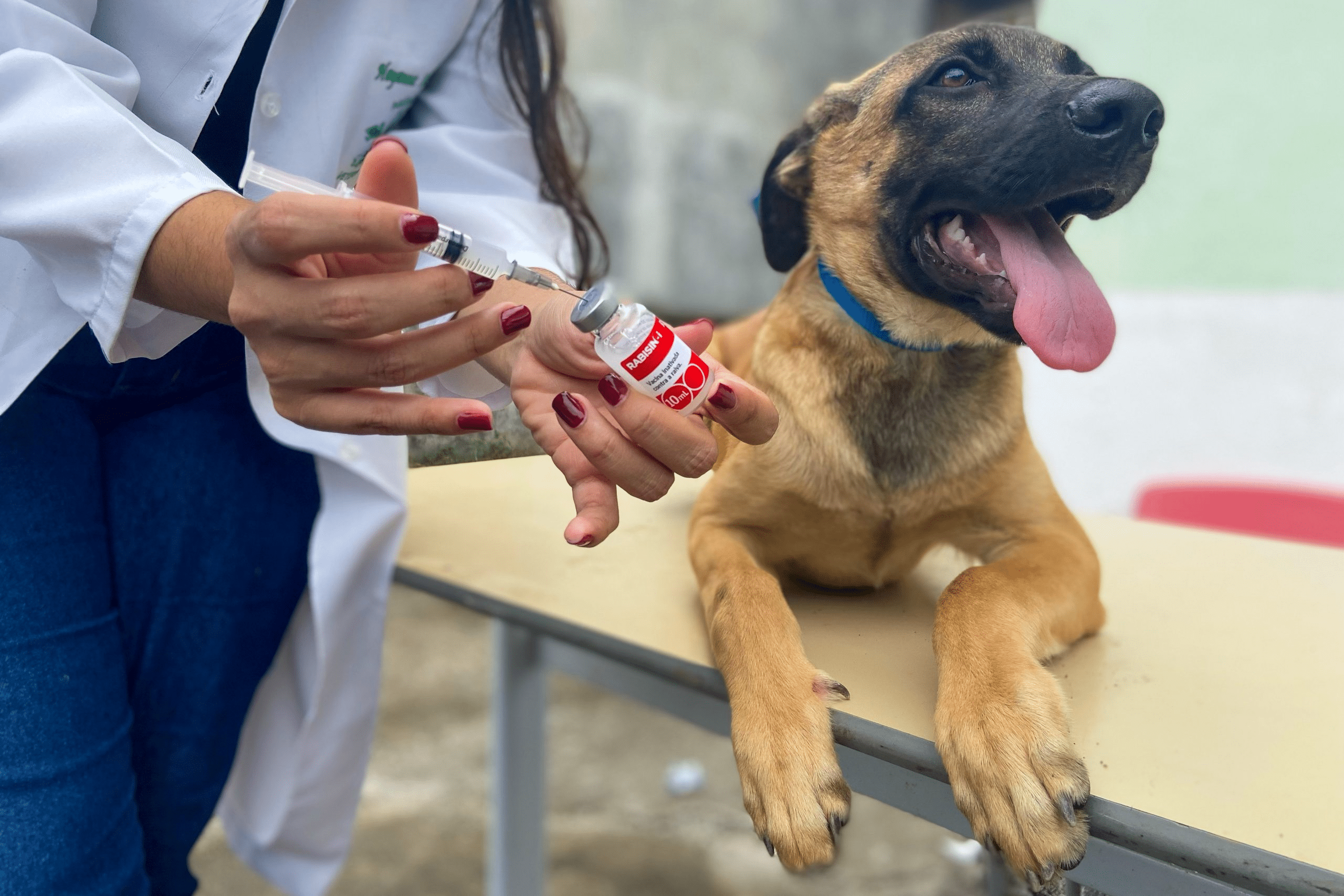 Caçapava promove ação antirrábica no Maria Elmira