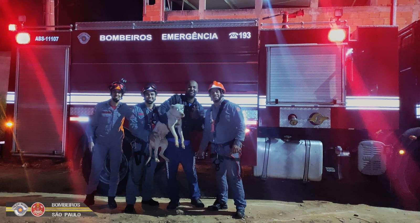Cachorro é resgatado de poço por Bombeiros em São José dos Campos