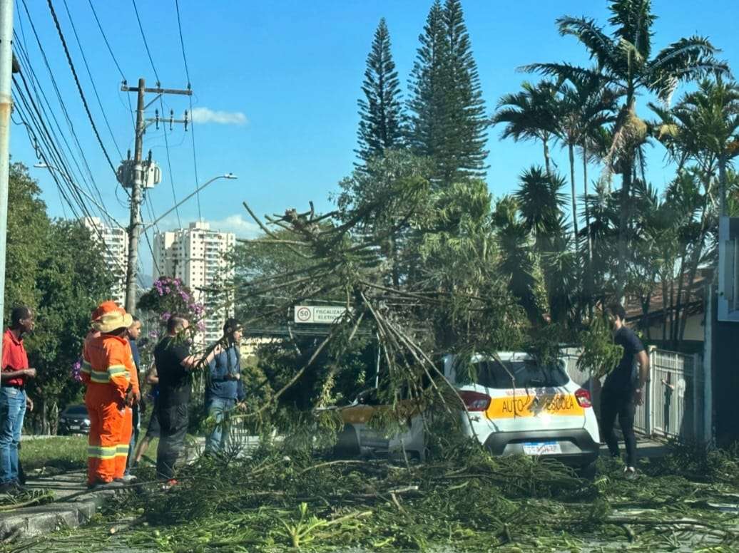 Árvore de grande porte cai sobe carro no Jd. Esplanada em São José