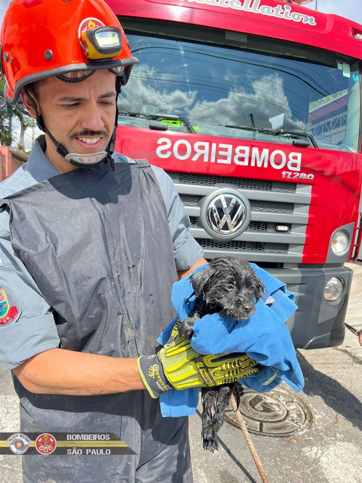 Cachorro é resgatado após cair dentro de bueiro em São José dos Campos