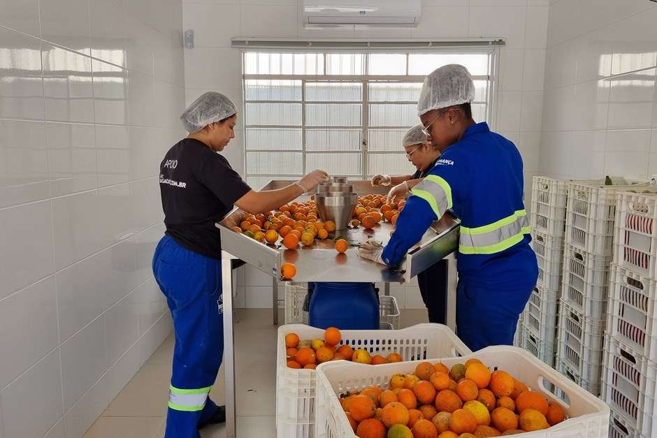 Mais de 44 mil quilos de alimentos perecíveis são entregues às entidades cadastradas no Fundo Social de São José