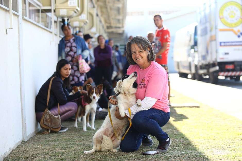 Castramóvel atende 167 pets em ação realizada no fim de semana em São José dos Campos