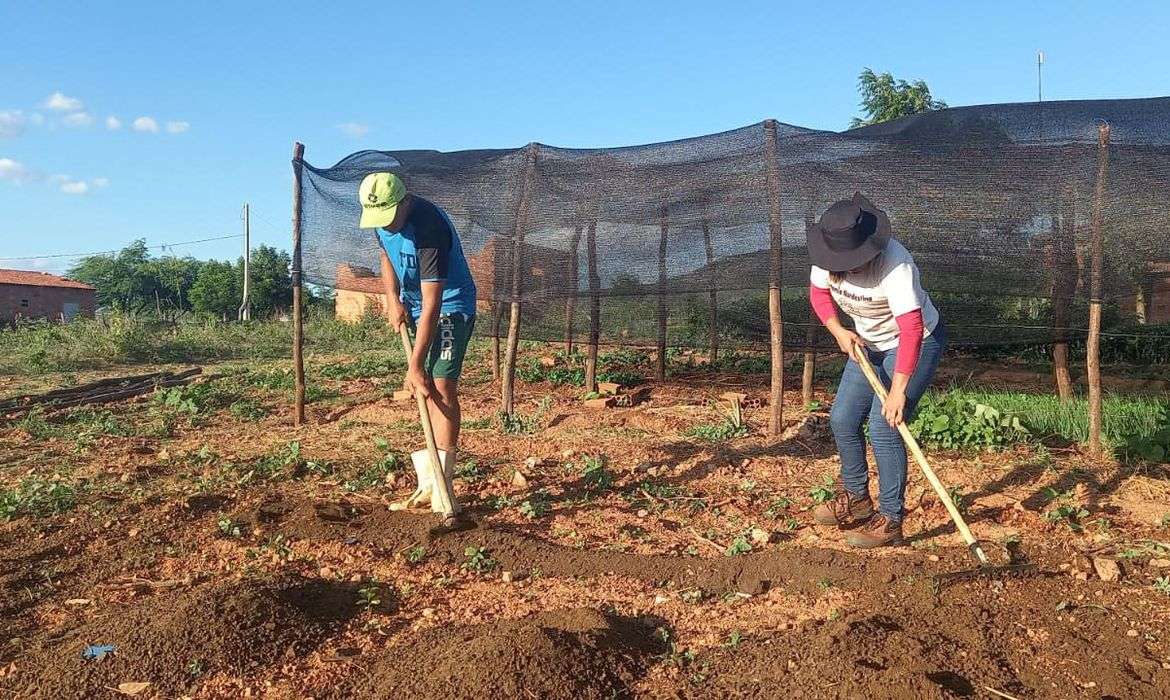 Para produzir alimentos no Brasil, trabalhadores pedem redução de juros
