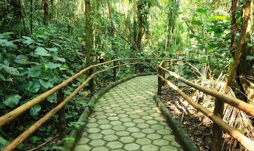 Parque Estadual Serra do Mar abre vagas para formação de monitores ambientais em Caraguatatuba