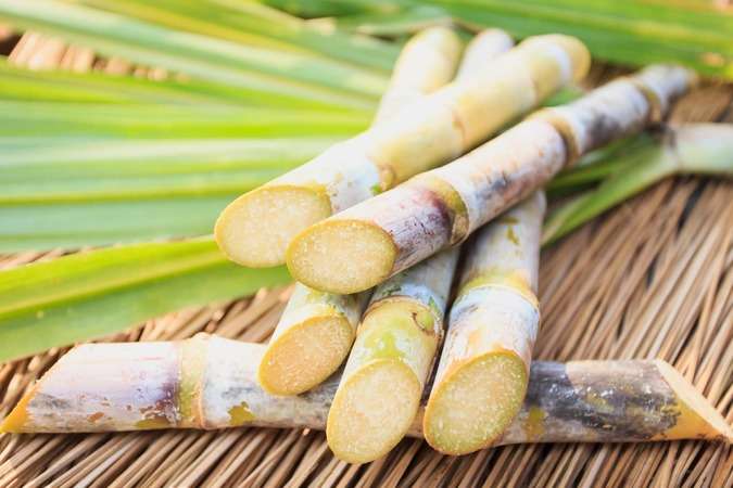 Exportações do agronegócio em São Paulo avançam 5,4%