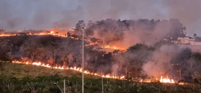 Incêndio atinge área de preservação de 10 mil metros quadrados em São José dos Campos