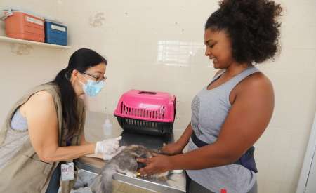 Jacareí realiza vacinação antirrábica para cães e gatos no sábado (5) e domingo (6)