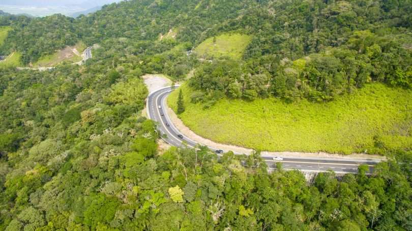 Campanha tenta reduzir atropelamento de animais na rodovia dos Tamoios