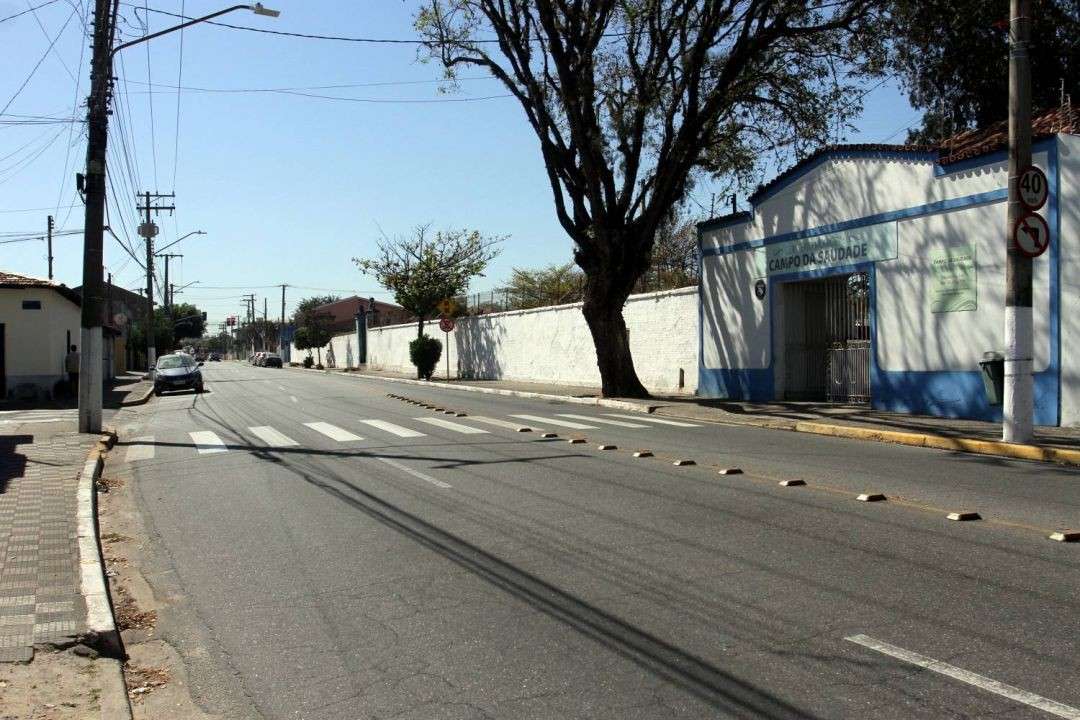 Avenida Avareí terá interdição parcial para remoção de árvore em Jacareí