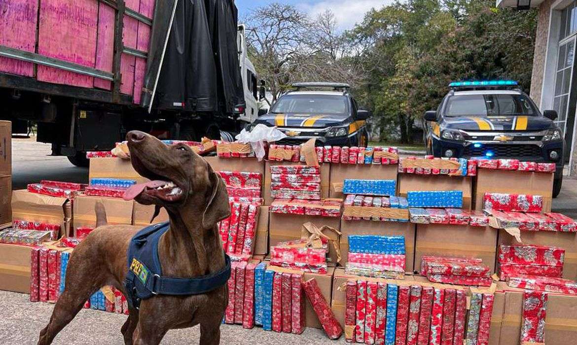 PRF apreende 2 toneladas de maconha escondida em carreta na Via Dutra em Seropédica