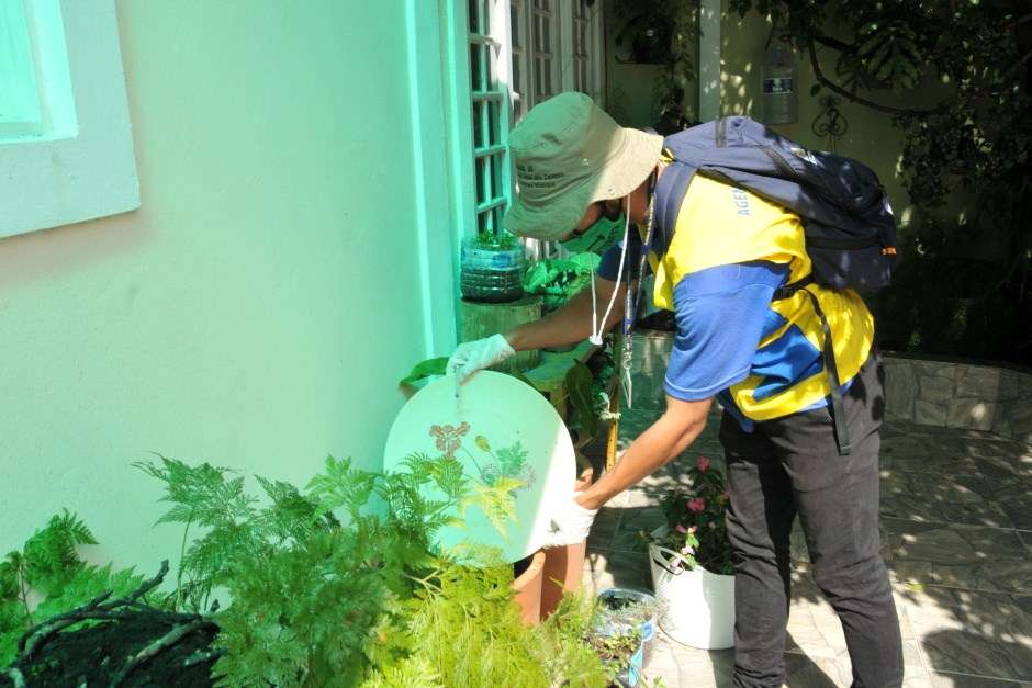 São José tem índice de densidade larvária satisfatório
