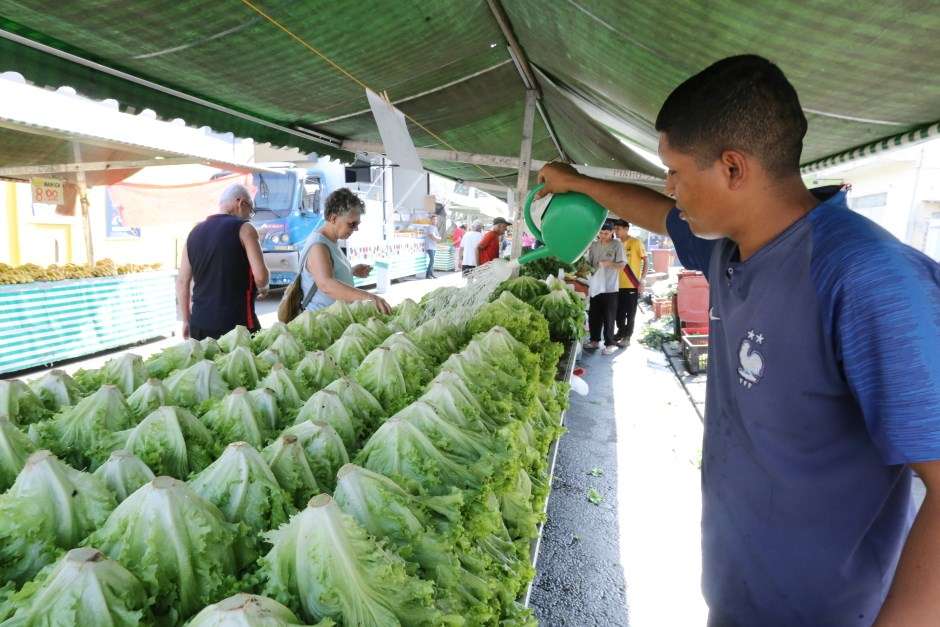 Dia Nacional do Feirante: São José tem 360 feirantes que atuam em 42 feiras livres