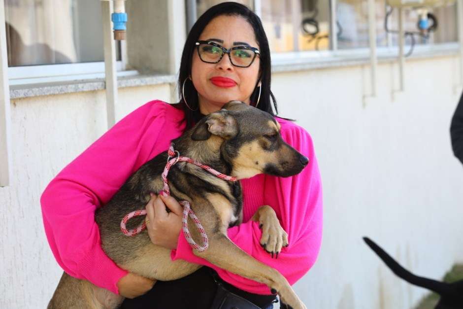 São José tem feira de adoção de cães e gatos neste sábado