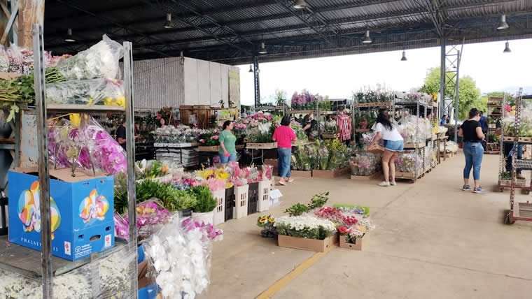 Guaratinguetá recebe 1ª edição do CEAGESP em Flor
