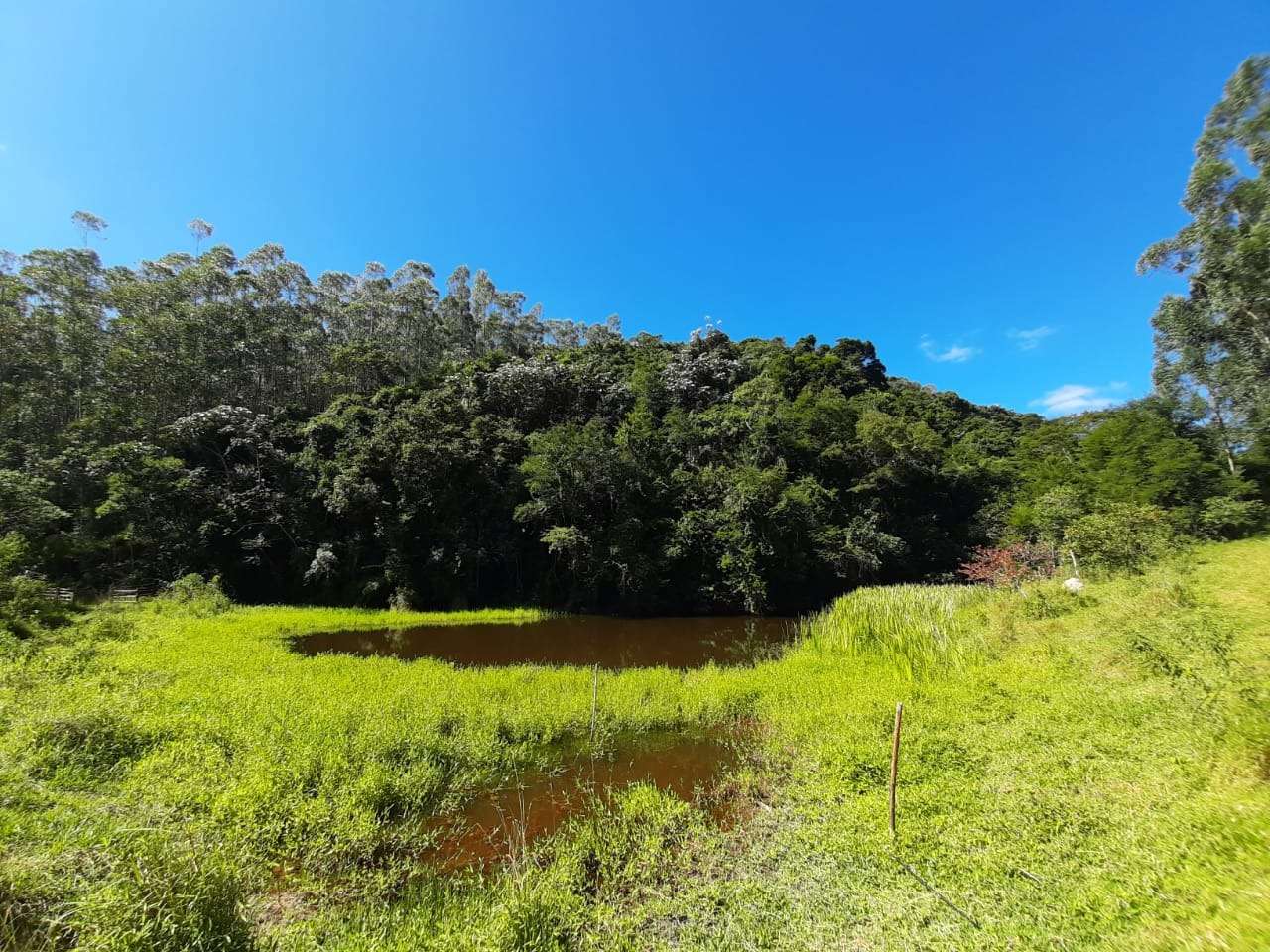Santa Branca promove oficina de práticas de agrofloresta a produtores rurais