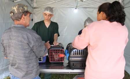 Jacareí fará microchipagem em pets, durante evento de posse responsável, no Parque Imperial, neste domingo