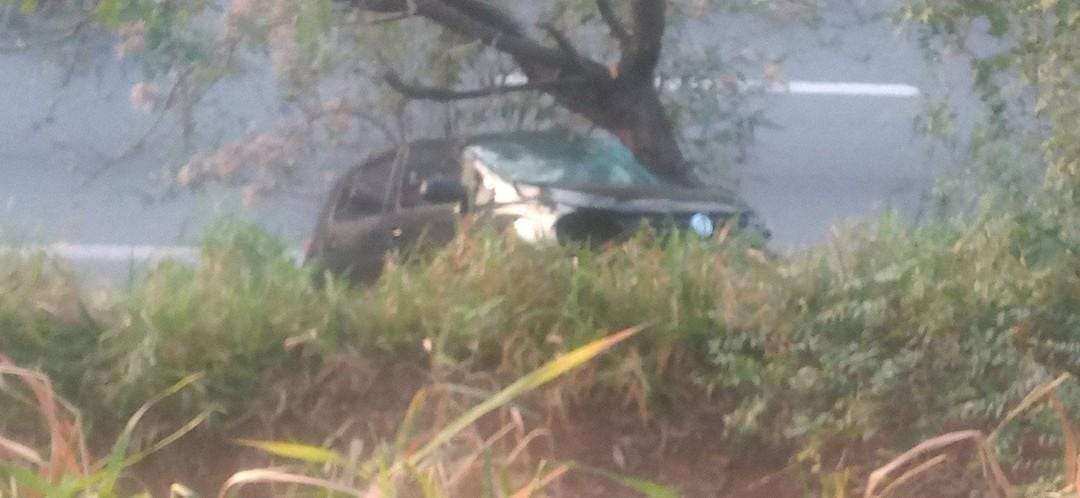 Carro fica preso em árvore na Via Dutra em São José