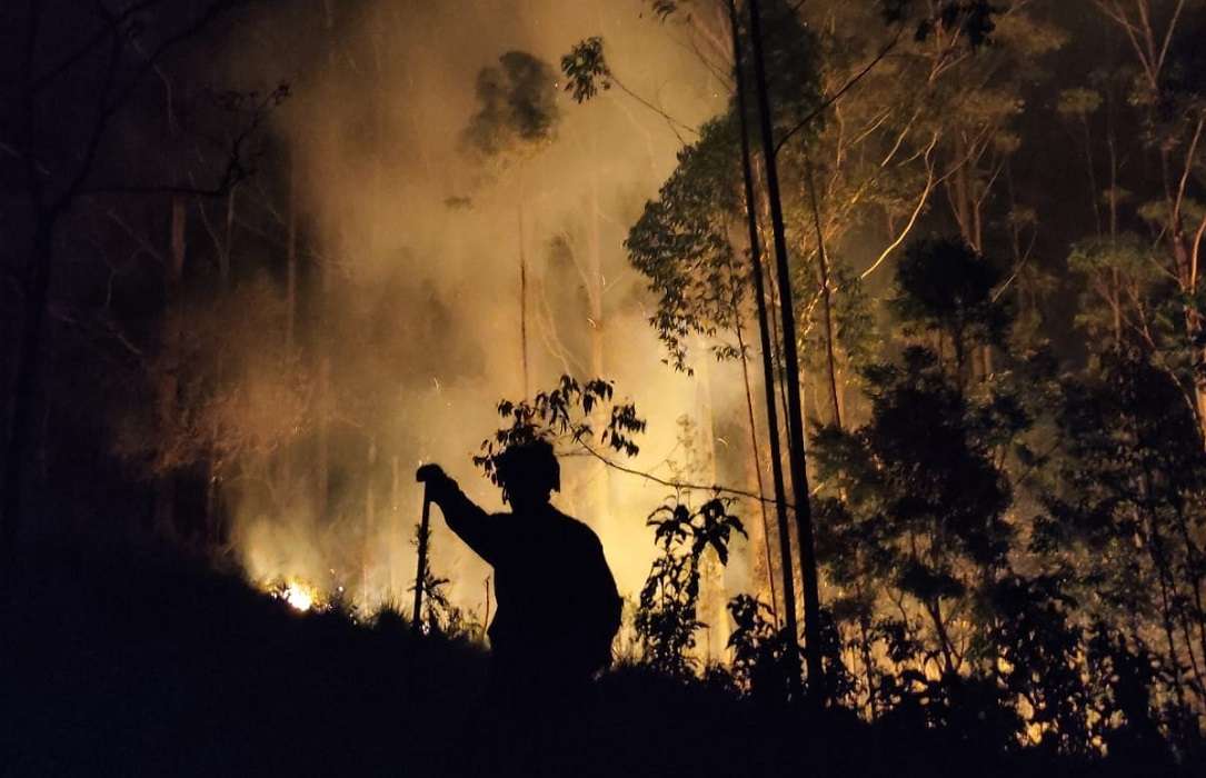 Incêndio atinge área de vegetação no distrito de Eugênio de Melo