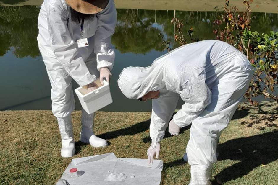 Agentes realizam pesquisa sobre carrapatos em 3 pontos de São José