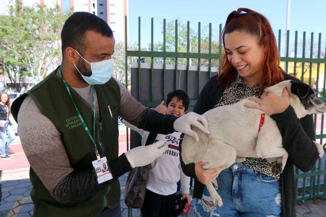Jacareí realiza vacinação antirrábica neste domingo (3), no Parque da Cidade