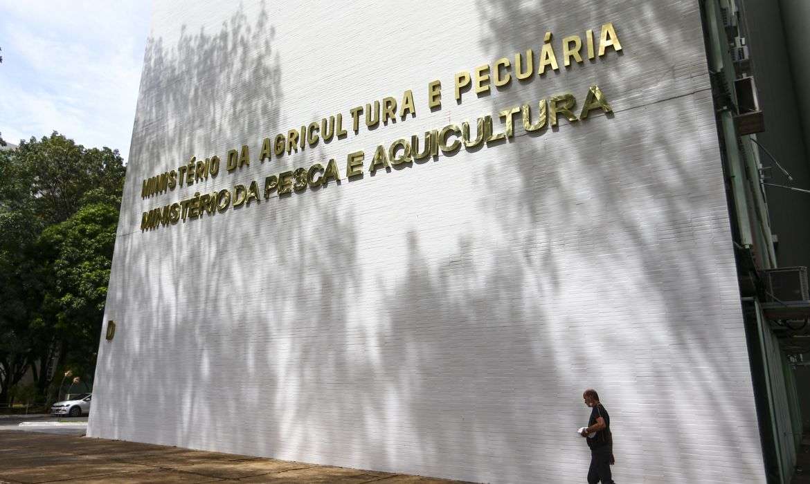 Oito lotes de café são apreendidos com presença de impurezas
