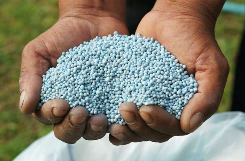 Importação de fertilizantes registra o melhor agosto da história