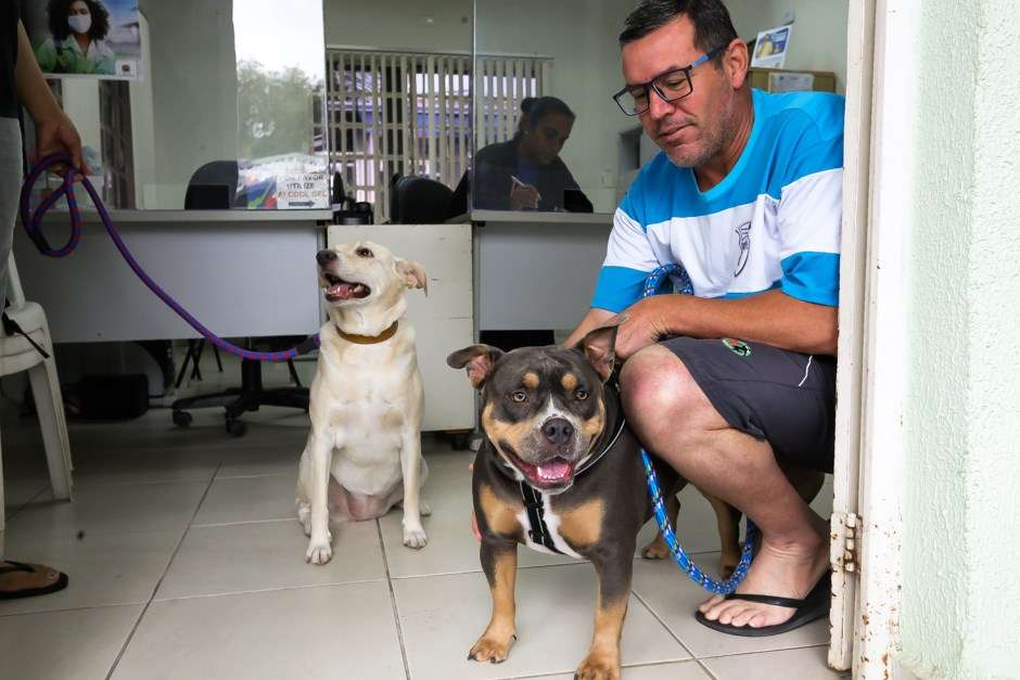 São José lança campanha para cães e gatos com vacinação antirrábica