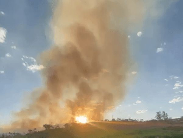 Incêndio atinge área de 100 mil metros quadrados no Putim, em São José