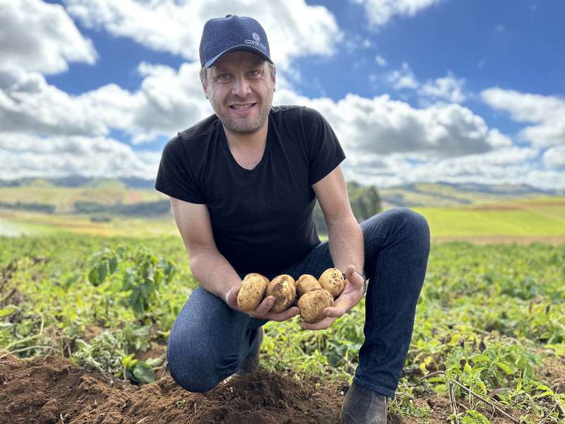 Produtor de batata de MG melhora a qualidade da produção com tecnologia e manejo sustentável