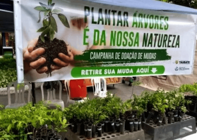 Taubaté promove atividades em comemoração aos ‘Dias Verdes’