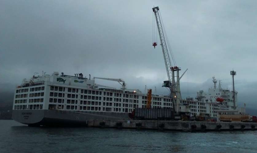 Câmara promove seminário sobre transporte de carga viva pelo Porto de São Sebastião