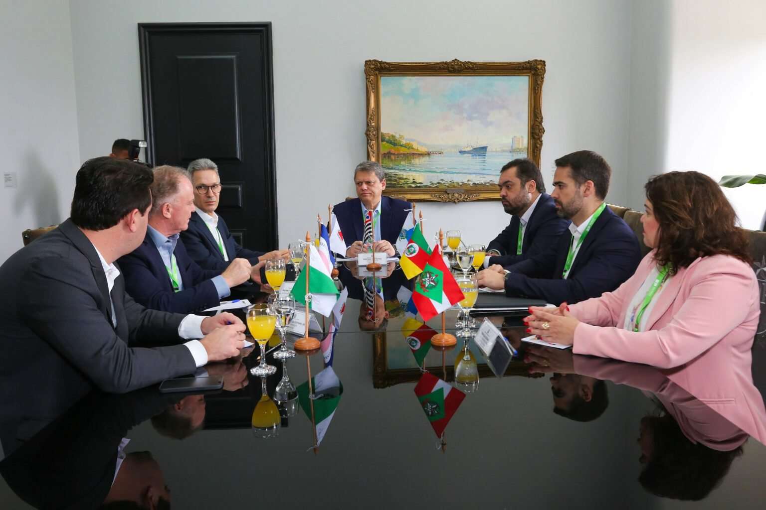 Governadores assinam Tratado da Mata Atlântica em reunião do Cosud