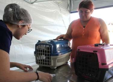 Jacareí realiza microchipagem em pets e emissão de Registro Geral de Animal no Parque dos Sinos, neste sábado (21)
