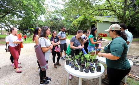 Viveiro Municipal de Jacareí tem programação diversa e gratuita na edição de domingo, dia 29