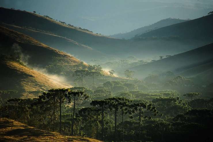 Universidade de Taubaté sedia colóquio internacional sobre história das relações humanas com a natureza ao longo do tempo