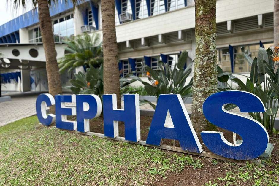 Cephas divulga resultado preliminar do Vestibulinho 2024 em São José