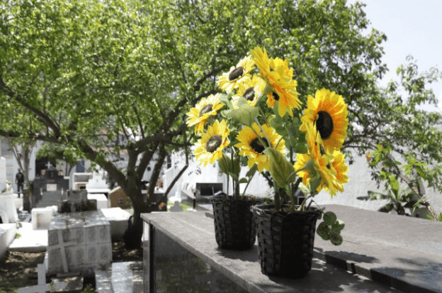 São Sebastião pede atenção a uso de vasos de flores que acumulam água no Dia de Finados para prevenção à dengue