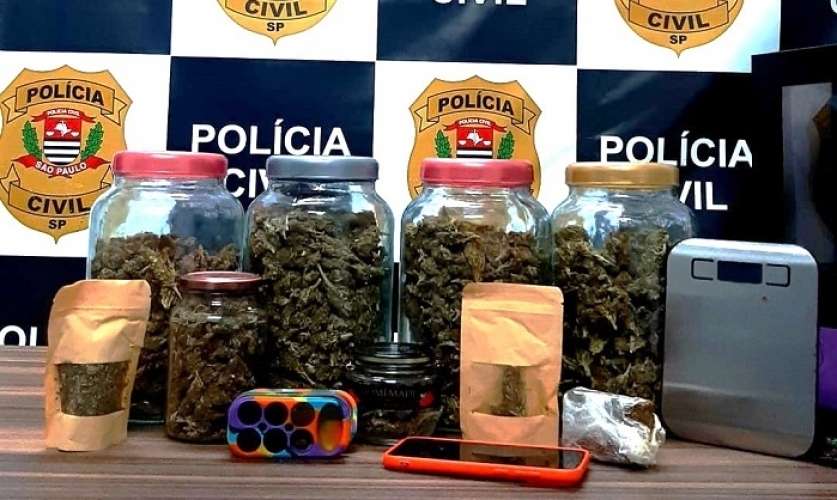 Polícia Civil de Ilhabela prende foragido do Mato Grosso do Sul com ‘super maconha’ avaliada em R$ 75 mil