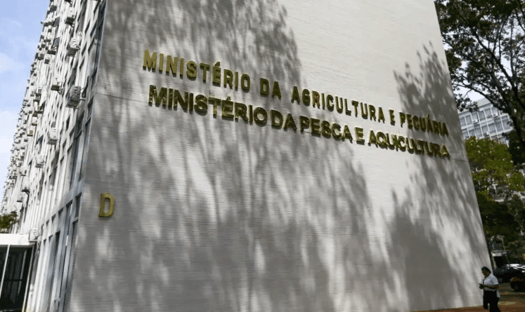 Força-tarefa apreende mais de 6 mil garrafas de azeite falsificado