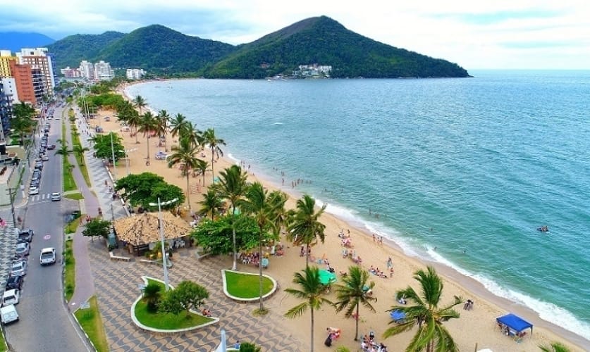 Caraguatatuba faz eleição para escolher Ave Símbolo da cidade