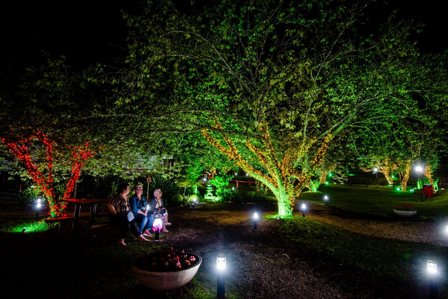 Parque da Cerejeira em Campos do Jordão promove “Natal Iluminado”