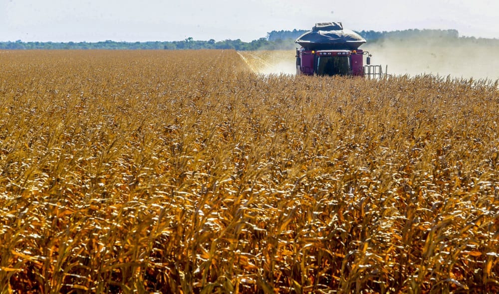 Crédito rural em foco: Conacredi 2025 deve reunir lideranças do agronegócio em São Paulo