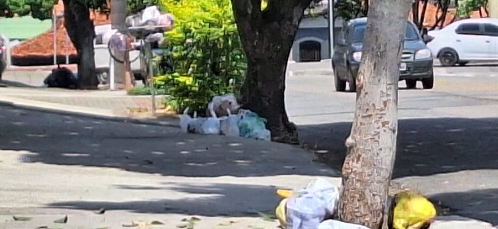 População sofre com a crise na coleta de lixo em São José dos Campos