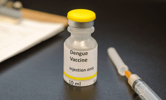 Saiba quais cidades do Rio de Janeiro e São Paulo receberão doses de vacina contra a dengue